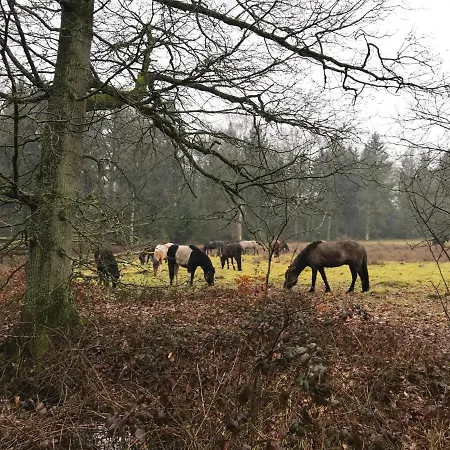 De Kempse Hoeve